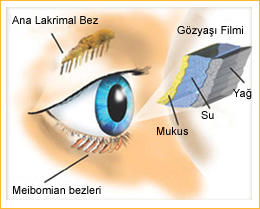 Kuru göz sendromu2 hastalık